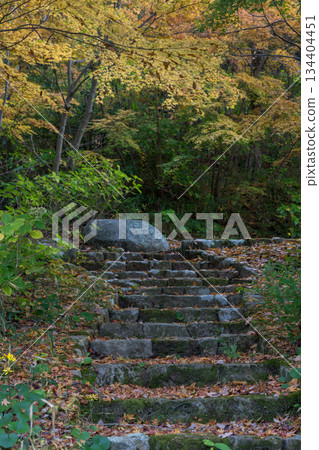 Kumamoto scenery with beautiful autumn leaves Kumamoto scenery with beautiful autumn leaves 134404451