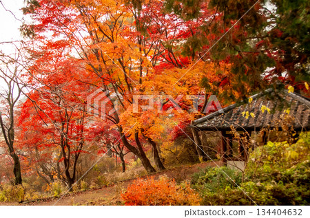 秋天的栃木縣那須鹽原市烏龜森公園 秋天的栃木縣那須鹽原市烏龜森公園 134404632