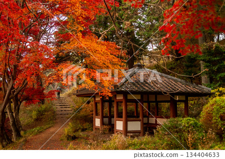 Nasushiobara City, Tochigi Prefecture Karasugamori Park in autumn Nasushiobara City, Tochigi Prefecture Karasugamori Park in autumn 134404633