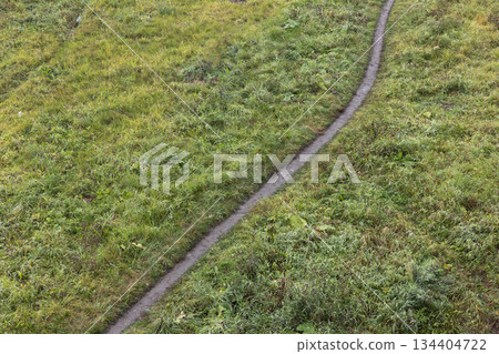 A narrow dirt trail winds through a lush green meadow, A narrow dirt trail winds through a lush green meadow, 134404722
