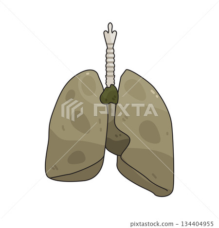 illustration of Lungs Damage illustration of Lungs Damage 134404955