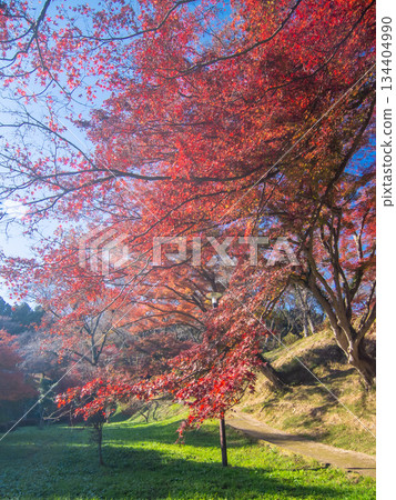 Gotenyama Park, Sakuyama, Otawara City, Tochigi Prefecture Gotenyama Park, Sakuyama, Otawara City, Tochigi Prefecture 134404990