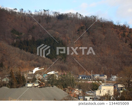 Shiratori Nagano Azumino Winter 134405009