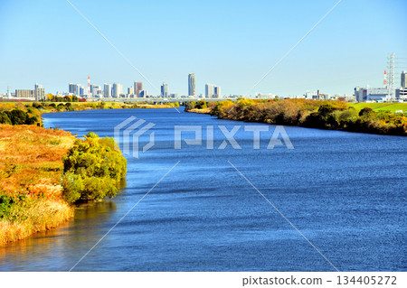 Sasame Bridge / View downstream from the Arakawa River (Toda Bridge, Kawaguchi City) (Toda City, Saitama Prefecture) [November 2025] 134405272