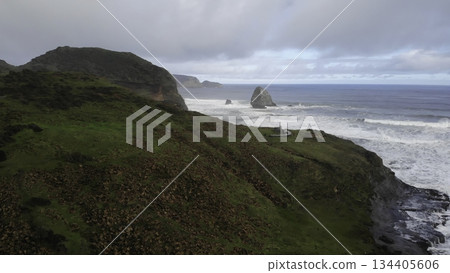 Breathtaking coastal landscape with crashing waves at muriwai gannet colony Breathtaking coastal landscape with crashing waves at muriwai gannet colony 134405606