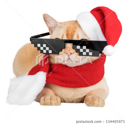 A ginger cat in a New Years costume and glasses A ginger cat in a New Years costume and glasses 134405971