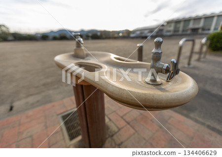 大型公園裡的飲水噴泉的庫存照片 134406629