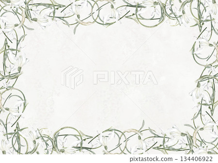 Snowdrop flower frame 134406922