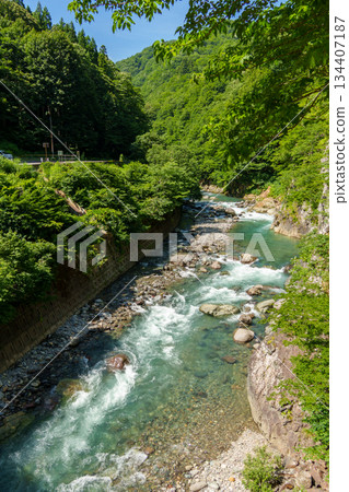 250719 秋山鄉 蛇淵瀑布 134407187