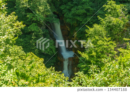250719 秋山鄉 蛇淵瀑布 134407188