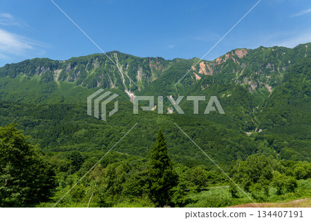 250719 Akiyamago Torikoyama 134407191