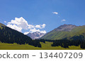 白雪皚皚的山峰、茂密的森林、綠草茵的草原以及藍天白雲交織的壯麗景色。 134407209