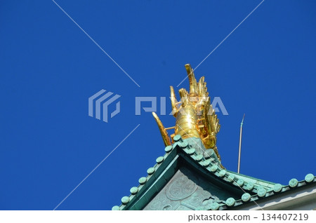 Golden Shachihoko and Nagoya Castle's keep (Nagoya City, Aichi Prefecture) 134407219
