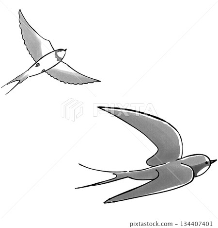 Swallow_Monochrome Swallow_Monochrome 134407401