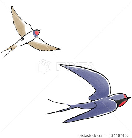 Swallow Swallow 134407402
