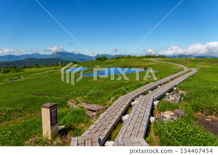 250720 苗場山 134407454