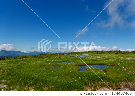 250720 苗場山 250720 苗場山 134407466