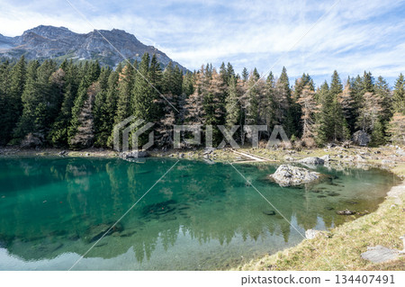 Summer time at romantic forest Lake Obernberg scenic mountain lakes landscape in Austria, Tyrol Summer time at romantic forest Lake Obernberg scenic mountain lakes landscape in Austria, Tyrol 134407491