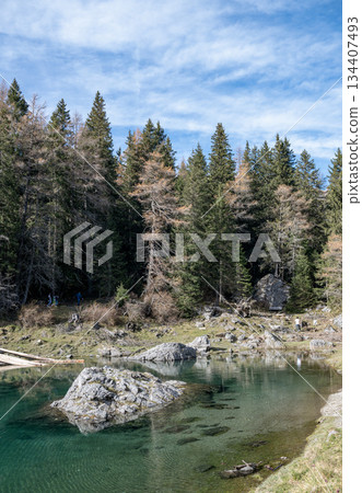 Summer time at romantic forest Lake Obernberg scenic mountain lakes landscape in Austria, Tyrol Summer time at romantic forest Lake Obernberg scenic mountain lakes landscape in Austria, Tyrol 134407493