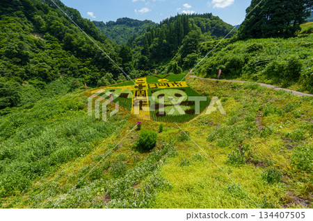250722十日町市梯田藝術 250722十日町市梯田藝術 134407505