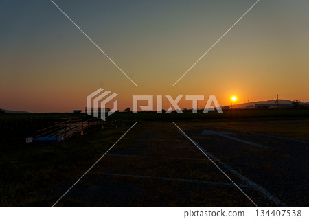 250730 Tsunan Town Sunflower Square 134407538