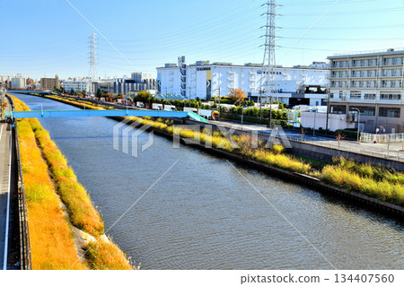 Sasame Bridge / Looking downstream from the Shingashi River (towards Hayase Pedestrian Bridge) (Itabashi Ward, Tokyo) [November 2025] 134407560