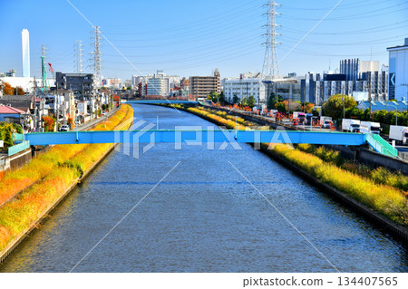 Sasame Bridge / Looking downstream from the Shingashi River (towards Hayase Pedestrian Bridge) (Itabashi Ward, Tokyo) [November 2025] 134407565