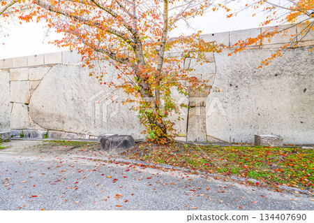 Osaka Castle - Megalith at the Main Gate 134407690