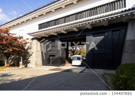 大阪城Oteguchi 大阪城Oteguchi 134407693