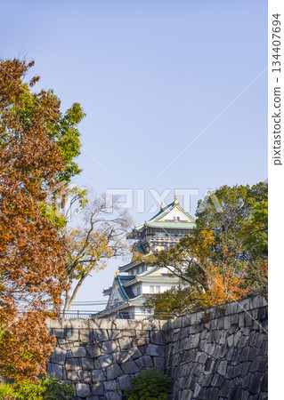 Osaka Castle Osaka Castle 134407694