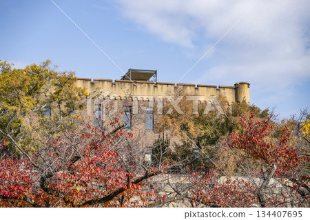 Osaka Castle  134407695