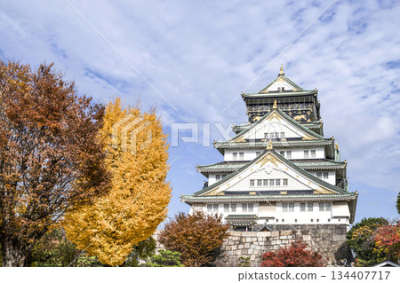 大阪城堡城堡塔 大阪城堡城堡塔 134407717