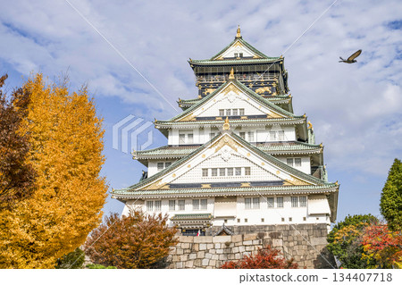 大阪城堡城堡塔 134407718