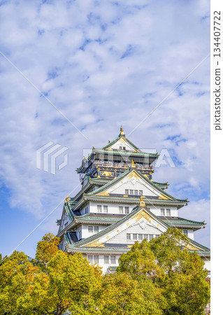 大阪城堡城堡塔 134407722