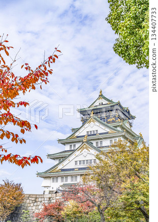 大阪城堡城堡塔 大阪城堡城堡塔 134407733