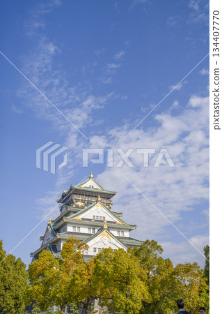 大阪城堡城堡塔 134407770