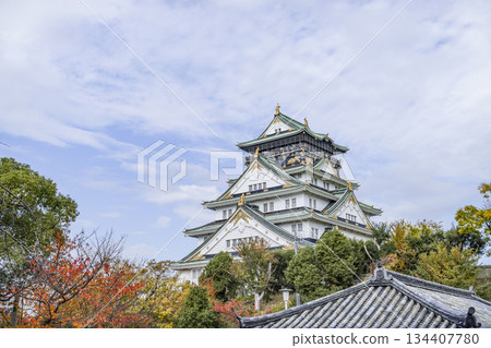 大阪城堡城堡塔 大阪城堡城堡塔 134407780