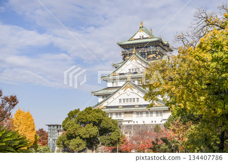 Osaka Castle castle tower 134407786