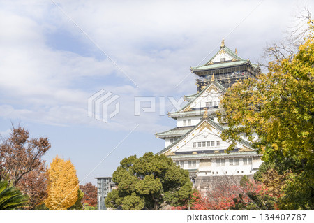 大阪城堡城堡塔 大阪城堡城堡塔 134407787
