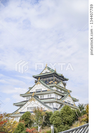 大阪城堡城堡塔 134407789