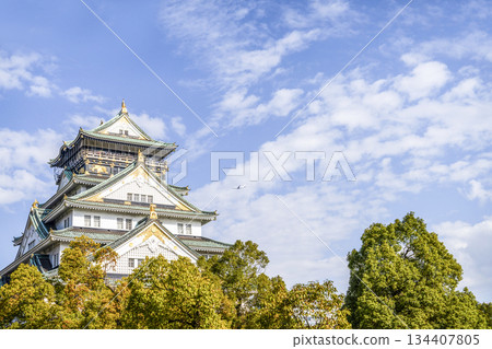 大阪城堡城堡塔 134407805