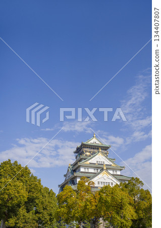 大阪城堡城堡塔 大阪城堡城堡塔 134407807