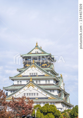 大阪城堡城堡塔 大阪城堡城堡塔 134407809