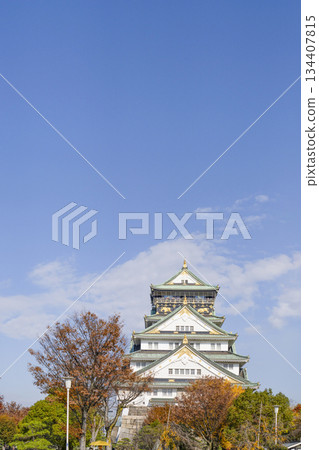 大阪城堡城堡塔 大阪城堡城堡塔 134407815