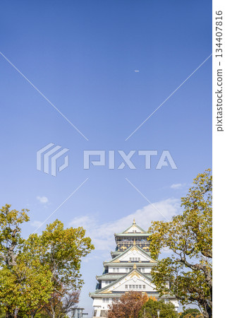 Osaka Castle castle tower 134407816
