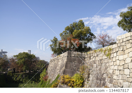 Osaka Castle Sorabori 134407817
