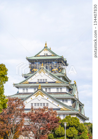 Osaka Castle castle tower 134407830