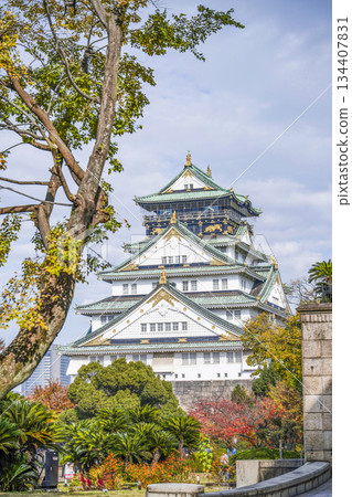 Osaka Castle castle tower 134407831