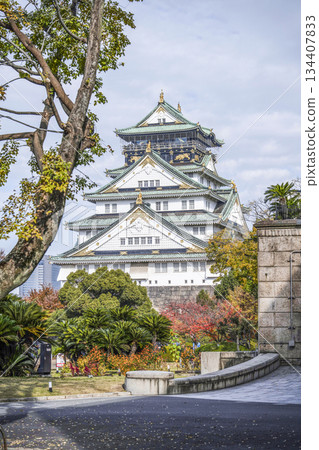 大阪城堡城堡塔 大阪城堡城堡塔 134407833