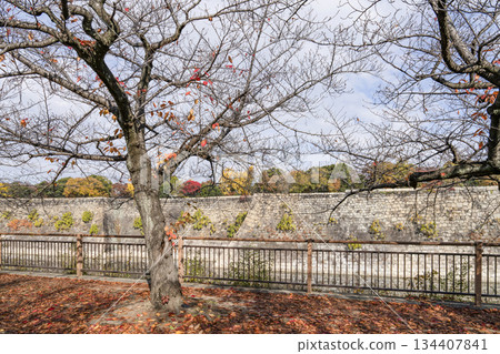 Osaka Castle Osaka Castle 134407841